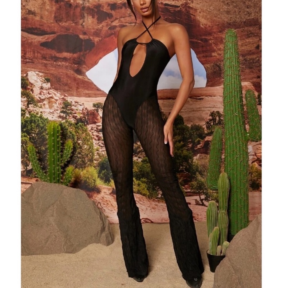 Bonnie Tied Backless Sheer Mesh Jumpsuit
